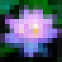  ,   , 61 ,   