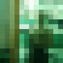 ���������� ����, ���� ������� ����, 40 ���, ������������ ��� ������, ����� � ���������, c�������� ���������