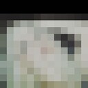  --,   , 41 ,   ,   