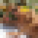 ���������� �������, ���� ������� ����, 37 ���, ������������ ��� ������