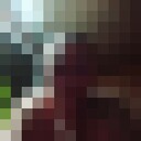 ���������� ����, ���� ������� �����, 47 ���, ������������ ��� ������, ����� � ���������