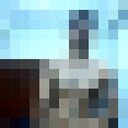 ���������� �������, ���� ����� ����, 24 ����, ������������ ��� ������, ����� � ���������