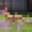 ���������� ������������, ���� ������� ����, 32 ����, ������������ ��� ������, ����� � ���������