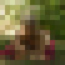  --,   , 52 ,   ,   , c 