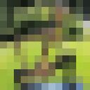 ���������� �������, ���� ������� ����, 45 ���, ������������ ��� ������, ����� � ���������, c�������� ���������, ���������