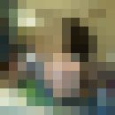  -,   , 41 ,  