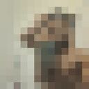 ���������� ������, ���� ������� �������, 29 ���, ������������ ��� ������, ����� � ���������