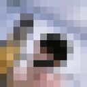 ,   , 22 ,   ,   , c 