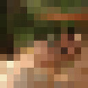  Piastow,   Sofia, 19 ,   ,   