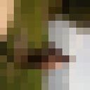  ,   , 60 ,   ,   , 