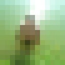 ���������� ����, ���� ����� �����, 25 ���, ������������ ��� ������, ����� � ���������