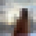 ���������� Albertson, ���� ������� ����, 24 ����, ������������ ��� ������, ����� � ���������