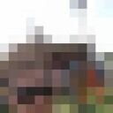 ���������� ������, ���� ������� ��, 31 ���, ������������ ��� ������, ����� � ���������, c�������� ���������