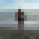 ���������� ��������, ���� ������� ����, 46 ���, ������������ ��� ������