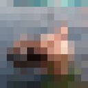  ,   Seksyalen Ya, 41 ,     , c , 