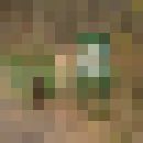 ���������� ��������, ���� ������� Xoyxoy, 56 ���, ������������ ��� ������, ����� � ���������, c�������� ���������, ���������