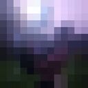 ���������� ������, ���� ����� NEM, 24 ����, ������������ ��� ������, ����� � ���������