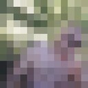  ,   , 28 ,     , c 