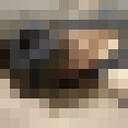   ,   , 41 ,   ,   , 