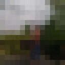 ���������� �����-���������, ���� ������� ˸�� �������, 38 ���, ������������ ��� ������, ����� � ���������, c�������� ���������, ���������