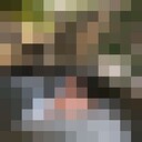  ,   Syboch, 33 ,   ,   
