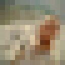 ���������� ������������, ���� ������� ����, 31 ���, ������������ ��� ������, ����� � ���������