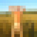   ,   Miolorus, 41 ,   , 