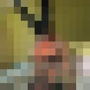 ���������� �����-���������, ���� ������� ����, 23 ����, ������������ ��� ������, ����� � ���������