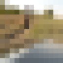 ���������� �����, ���� ������� ���������, 33 ����, ������������ ��� ���������