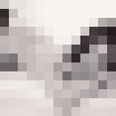  ,   Inga, 31 ,   ,   , c , 