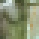  ,   , 49 ,   , 