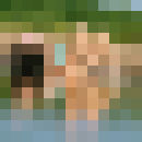 ���������� ������ ��������, ���� ������� ����, 37 ���, ������������ ��� ������, ����� � ���������, c�������� ���������