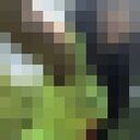  ,   , 44 ,   ,   , c , 