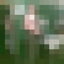  -,   Sen9, 34 ,   , 