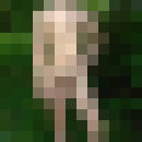  --,   , 29 ,   ,   , c 