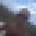 ���������� ��������, ���� ������� ����, 29 ���, ������������ ��� ������, ����� � ���������, c�������� ���������, ���������