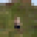  ,   , 43 ,   ,   , c 