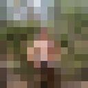 ���������� �������, ���� ������� ������, 43 ����, ������������ ��� ������, ����� � ���������