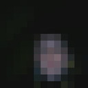 ���������� ������, ���� ������� Nikolai, 37 ���, ������������ ��� ������, ����� � ���������, c�������� ���������