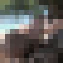  ,   Aktiv, 48 ,   