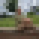  ,   , 49 ,     , c 