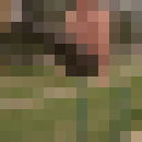 ���������� ����, ���� ������� ������, 57 ���, ������������ ��� ����� � ���������, c�������� ���������