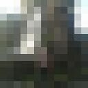 ���������� ������, ���� ������� ���������, 39 ���, ������������ ��� ������, ����� � ���������