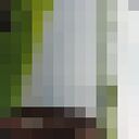 ���������� ������-��-����, ���� ������� �����, 37 ���, ������������ ��� ������, ����� � ���������