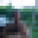  ,   , 55 ,   ,   , c , 