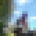  ,   Demid, 39 ,     , c 
