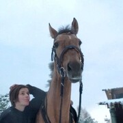 ���������� ������, ���� ����� ����, 24 ����, ������������ ��� ������, ����� � ���������