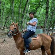 ���������� �����-���������, ���� ������� �����, 44 ����, ������������ ��� ������, ����� � ���������