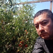 ,   , 37 ,   ,   