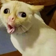 ���������� ������������, Julia